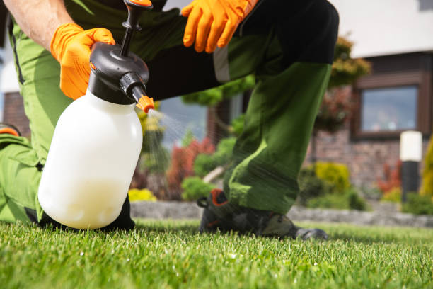 Best Pest Removal Services  in Metzger, OR