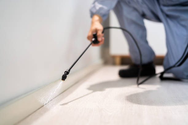 Professional Pest Control in Metzger, OR