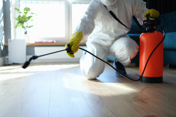 Flea Control Services in Metzger, OR