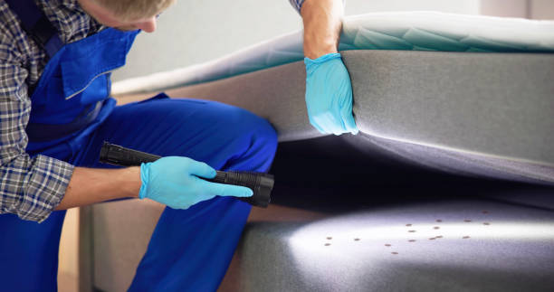 Best Cockroach Control Services  in Metzger, OR