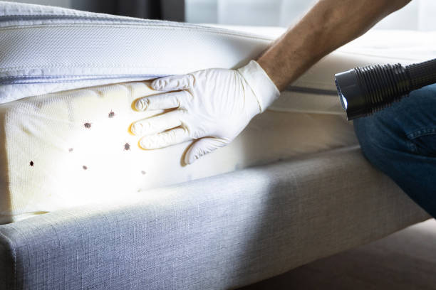 Best Pest Prevention Services  in Metzger, OR