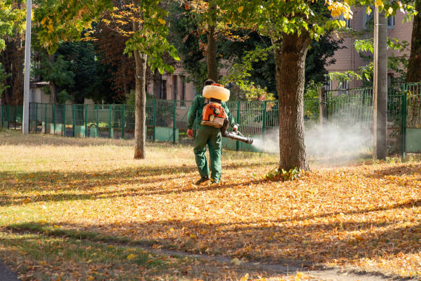 Best Pest Control for Businesses  in Metzger, OR
