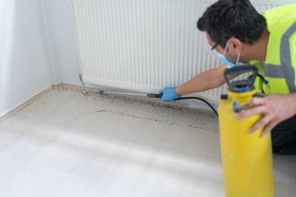 Best Best Pest Control Companies  in Metzger, OR