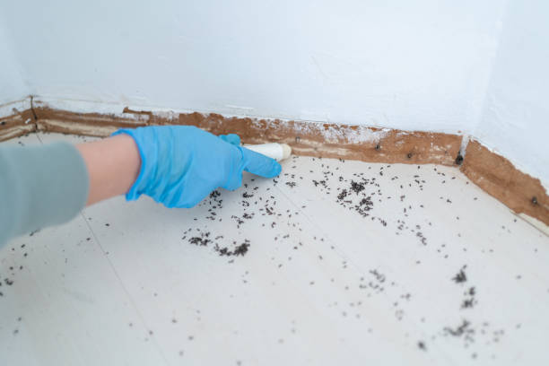 Best Best Pest Control Companies  in Metzger, OR